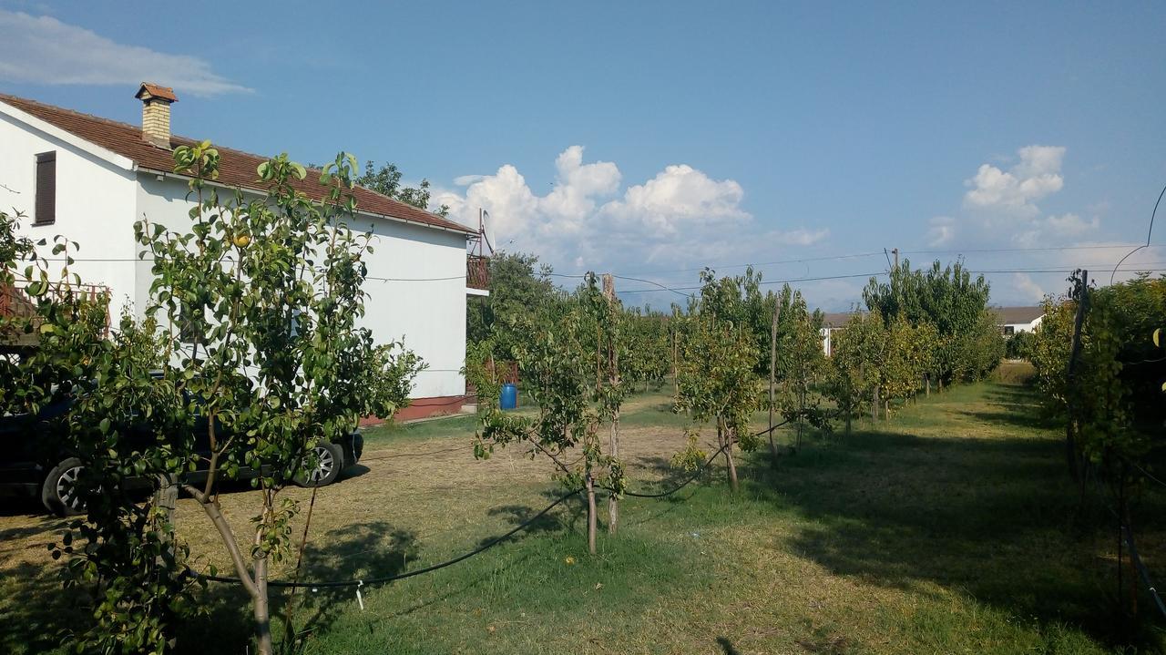 Airport Home Radinovic Podgorica Buitenkant foto